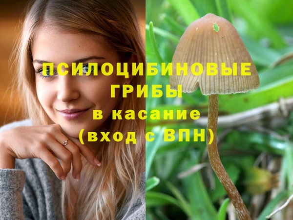 амфетамин Зерноград