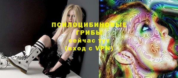 apvp Зеленокумск