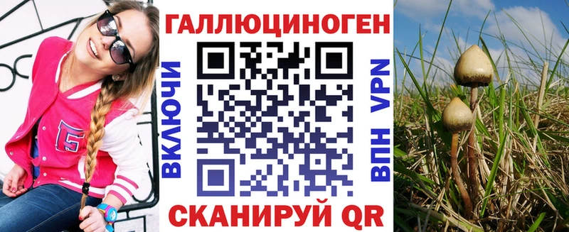 Галлюциногенные грибы Psilocybe  Туран 