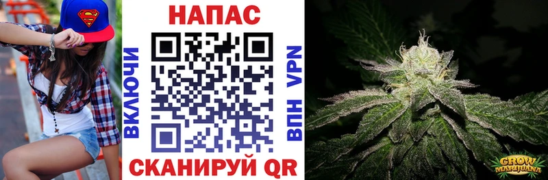 где продают Туран МАРИХУАНА марихуана